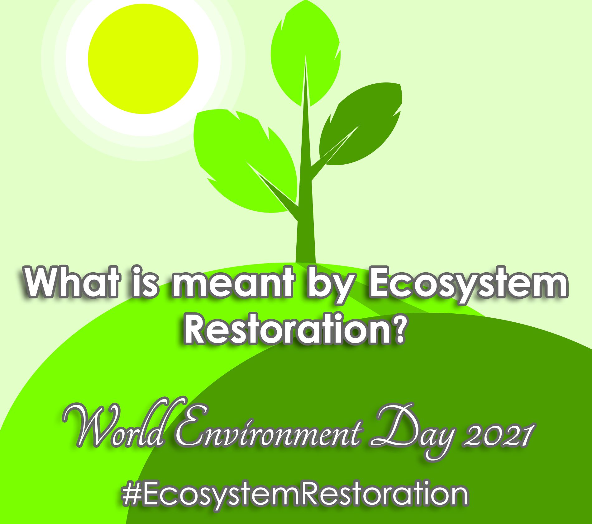 world-environment-day-what-does-ecosystem-restoration-mean