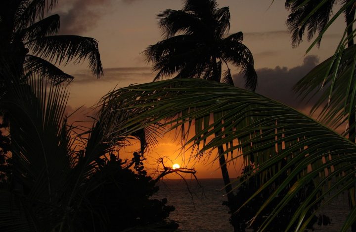 sunset-trees